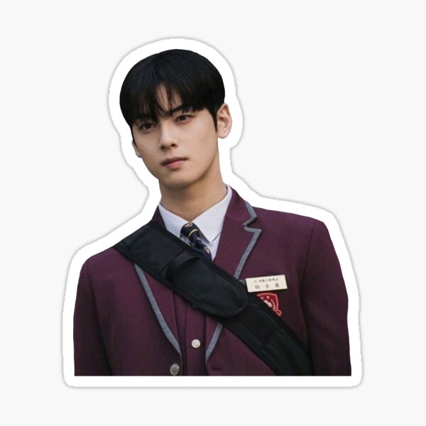 Cha Eun Woo - Equipo Suho - True Beauty Kdrama Pegatina