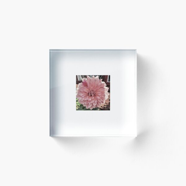 Item preview, Flower garden designed and sold by SamusMars.