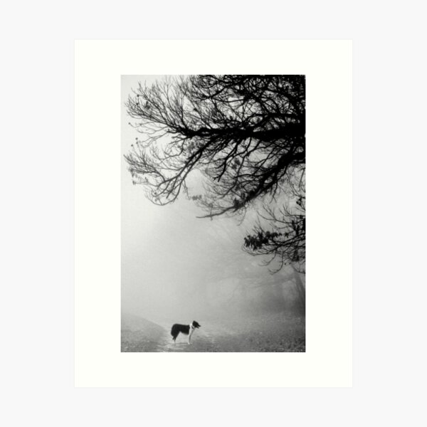 Dog in the mist. Art Print