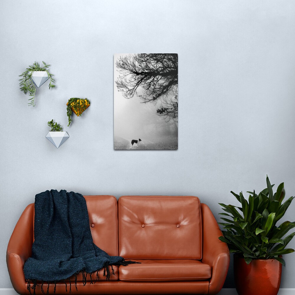 Dog in the mist. Metal Print