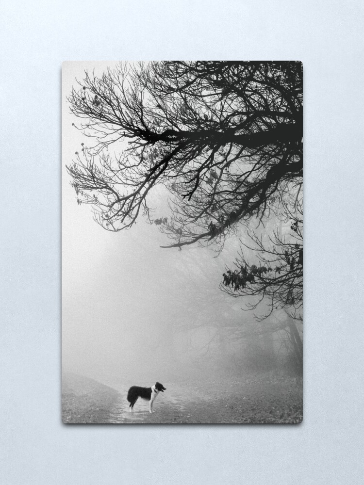 Alternate view of Dog in the mist. Metal Print