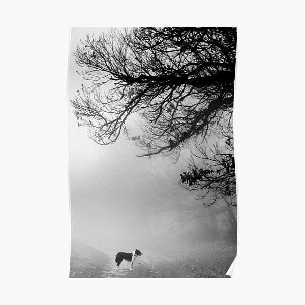 Dog in the mist. Poster
