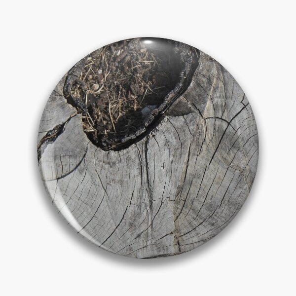 Item preview, Fine Details of Cut Tree Trunk designed and sold by Sinemathk.