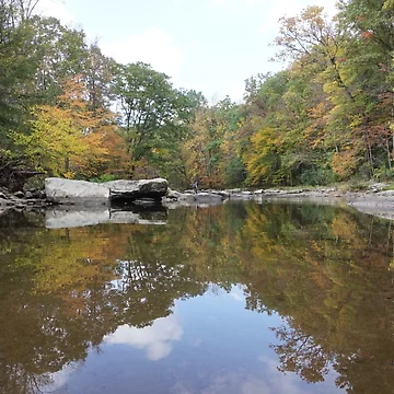 Artwork thumbnail, Fall Reflection by BenjaminMartin