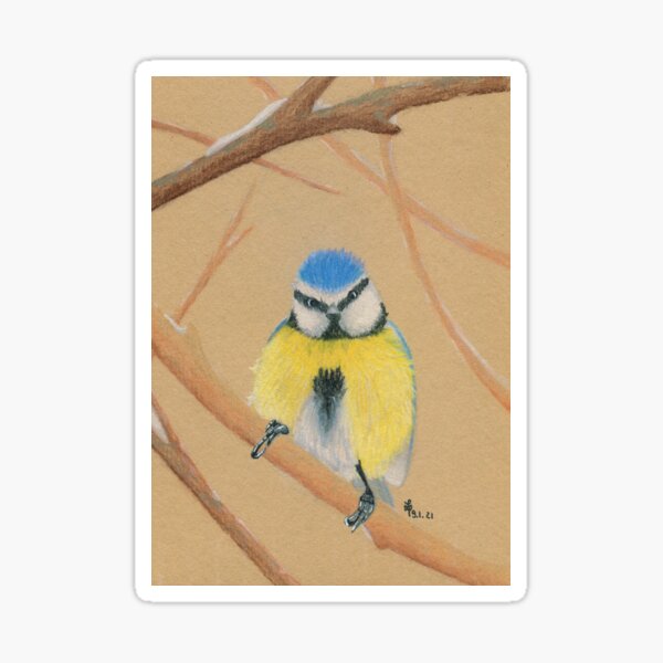 Blaumeise Pastelzeichnung Sticker