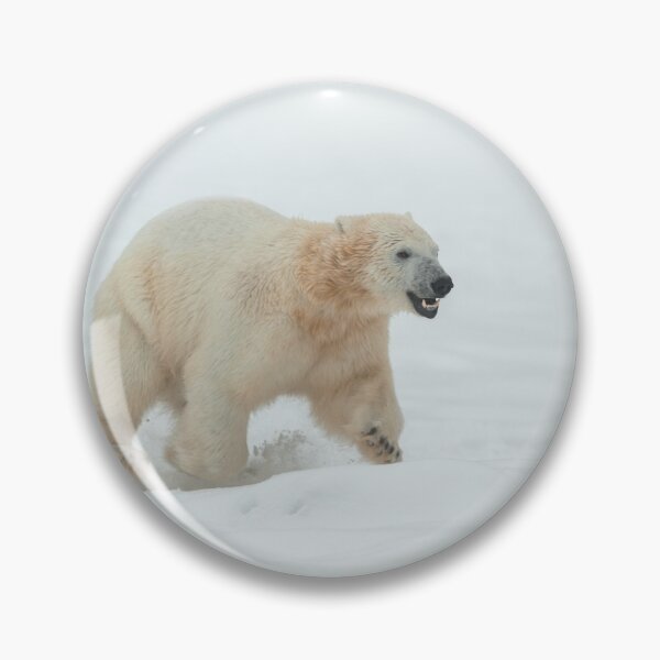 Item preview, Attack of the polar bear designed and sold by Ingo Gerlach.