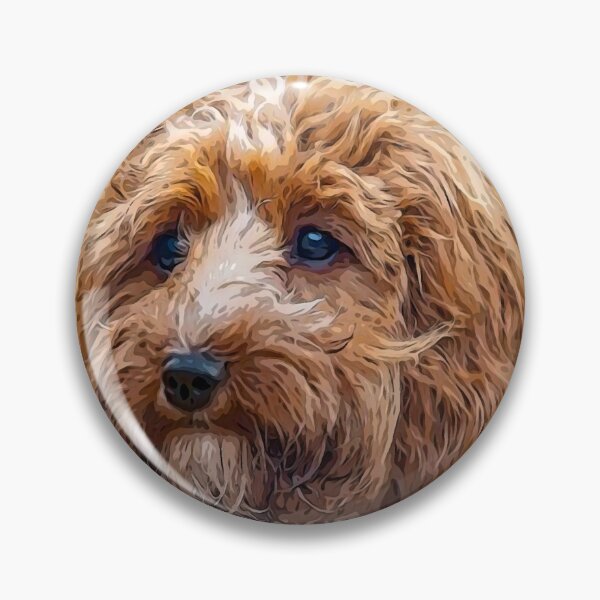 Item preview, Cockapoo Art Gorgeous Brown and White Doodle Dog designed and sold by Labradoodlesetc.