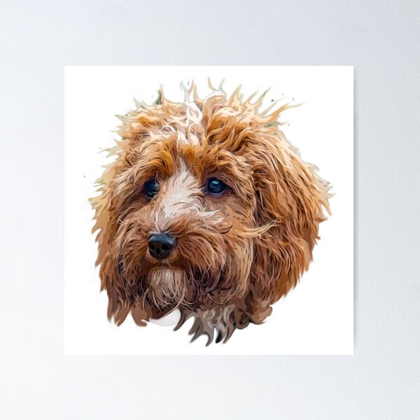 Item preview, Cockapoo Art Gorgeous Brown and White Doodle Dog designed and sold by Labradoodlesetc.