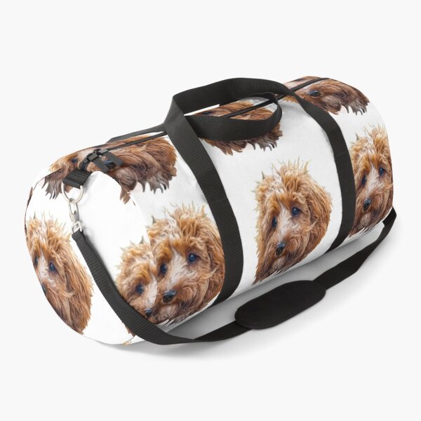 Item preview, Cockapoo Art Gorgeous Brown and White Doodle Dog designed and sold by Labradoodlesetc.