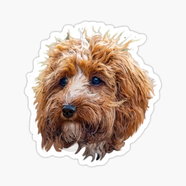 Fluffy Cockapoo Puppy Dog Cool Gift #2703 2 x Vinyl Stickers 10cm 