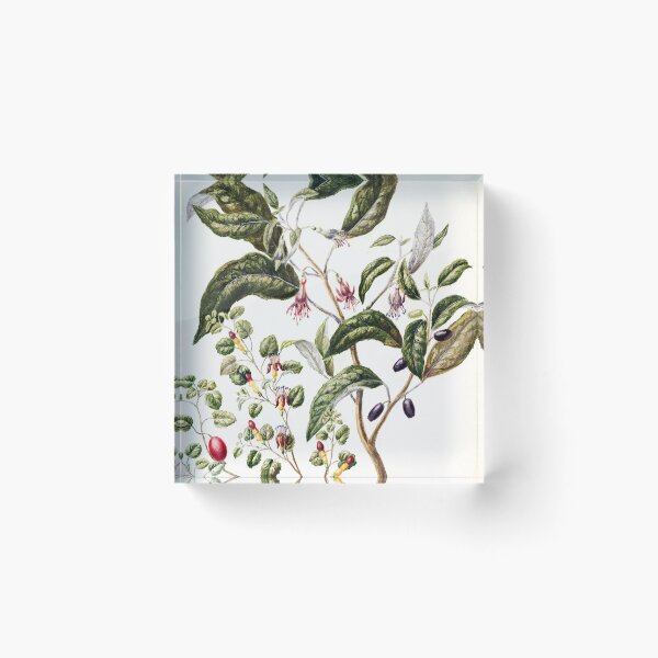 Item preview, In Nature designed and sold by anni103.
