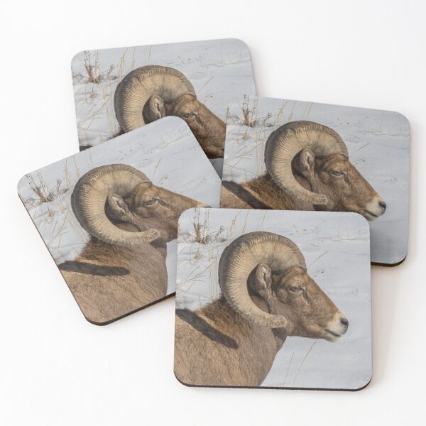 Item preview, Bighorn Ram designed and sold by May Finch.