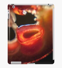 Red Seeds iPad Case/Skin