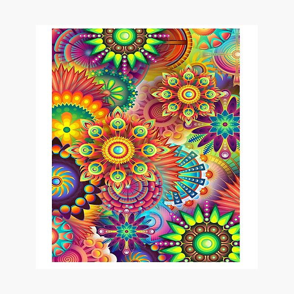 Flowers Mixed colors amazing modern colorful Photographic Print