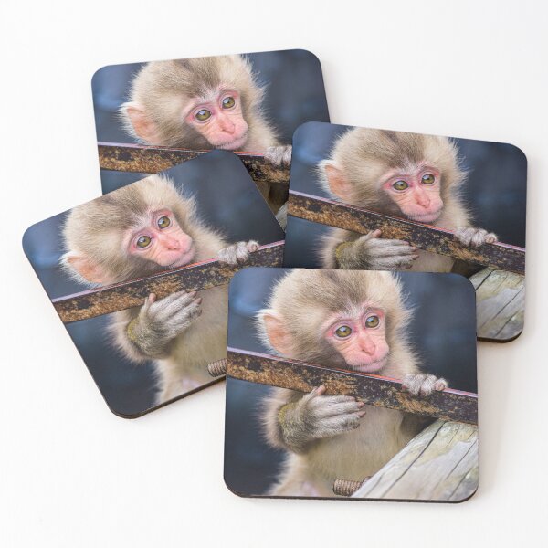 Item preview, Snow Monkey in Japan photographed designed and sold by Designsbyalisa.