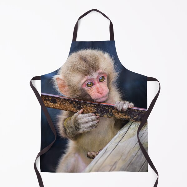 Item preview, Snow Monkey in Japan photographed designed and sold by Designsbyalisa.