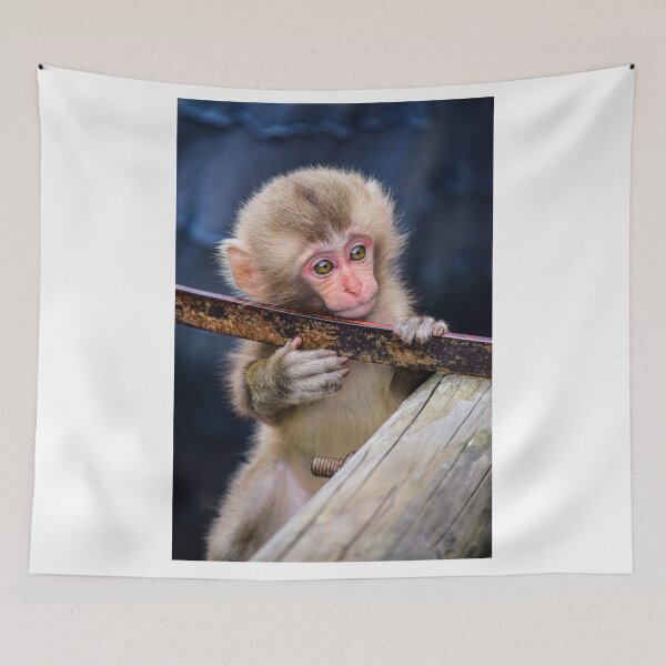 Item preview, Snow Monkey in Japan photographed designed and sold by Designsbyalisa.