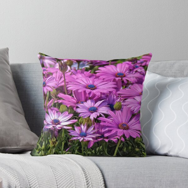 Item preview, Osteospermum designed and sold by PhotosByHealy.