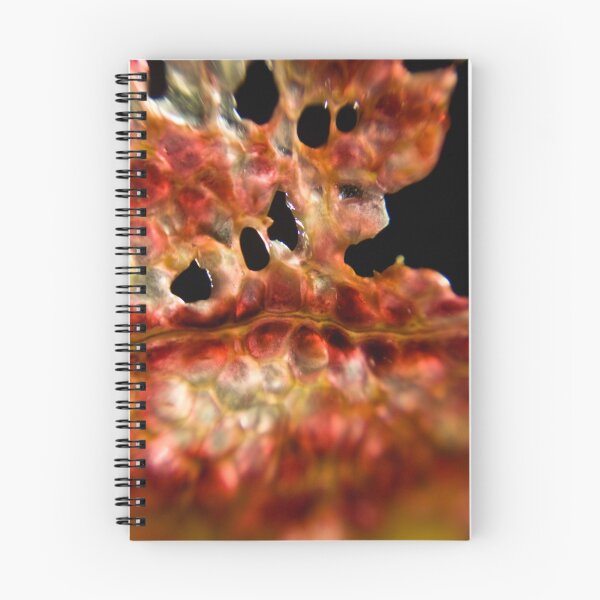 Item preview, Fleshy Slice designed and sold by rachelcphotoart.