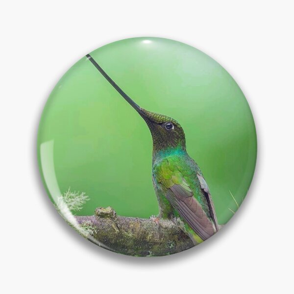 Item preview, Art Bird designed and sold by Billlogan.