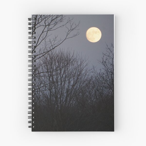 Item preview, Moonlit Adventures designed and sold by BenjaminMartin.
