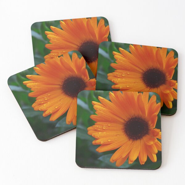 Item preview, Calendula Dew Drops designed and sold by Tdcc2000.