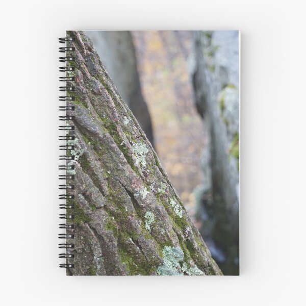 Item preview, Moss on Bark designed and sold by BenjaminMartin.