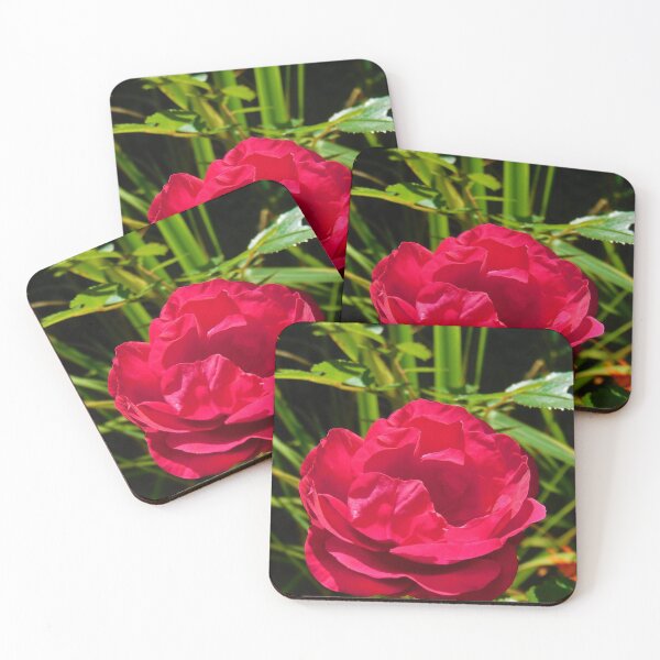 Item preview, Romantic Rose designed and sold by AbnormalLoad.