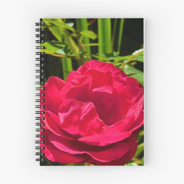 Aperçu de l'œuvre Rose romantique créée et vendue par AbnormalLoad.