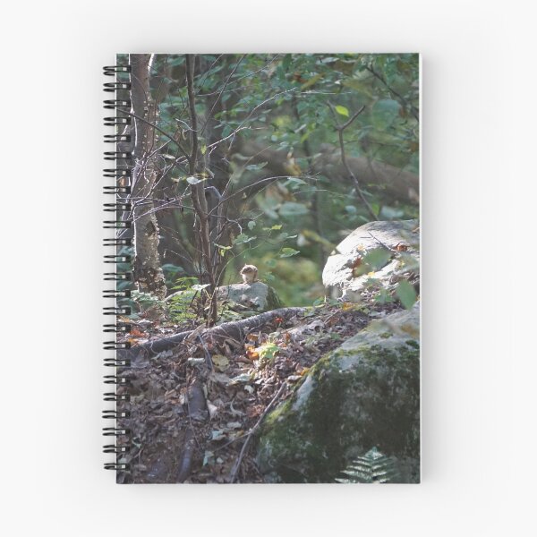 Item preview, Find and Seek designed and sold by BenjaminMartin.