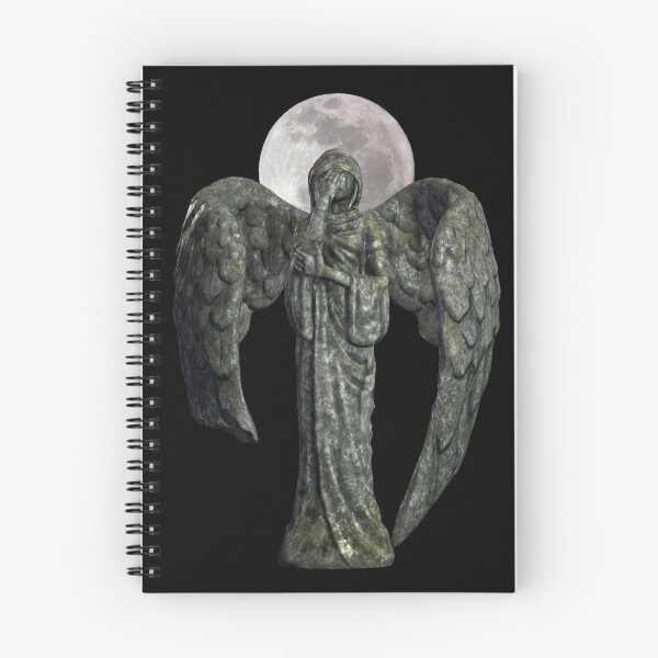 Item preview, Crying Angel designed and sold by Celestron.