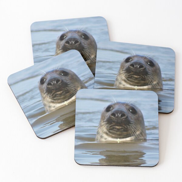 Item preview, Grey Seal at Newburgh, Scotland designed and sold by beavo.