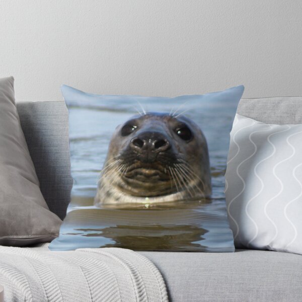 Item preview, Grey Seal at Newburgh, Scotland designed and sold by beavo.