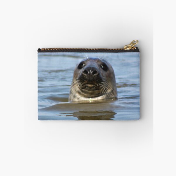 Item preview, Grey Seal at Newburgh, Scotland designed and sold by beavo.