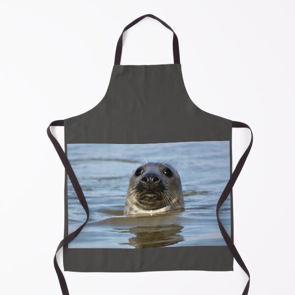 Item preview, Grey Seal at Newburgh, Scotland designed and sold by beavo.