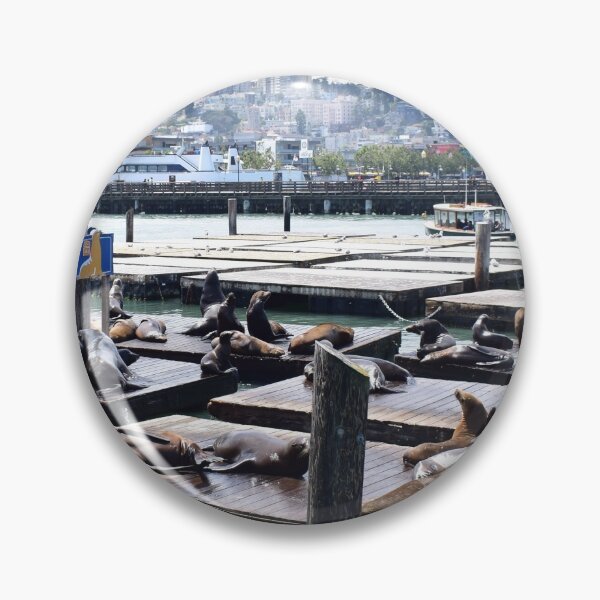 Item preview, Pier 39 Sea Lions, San Francisco  designed and sold by Designsbyalisa.
