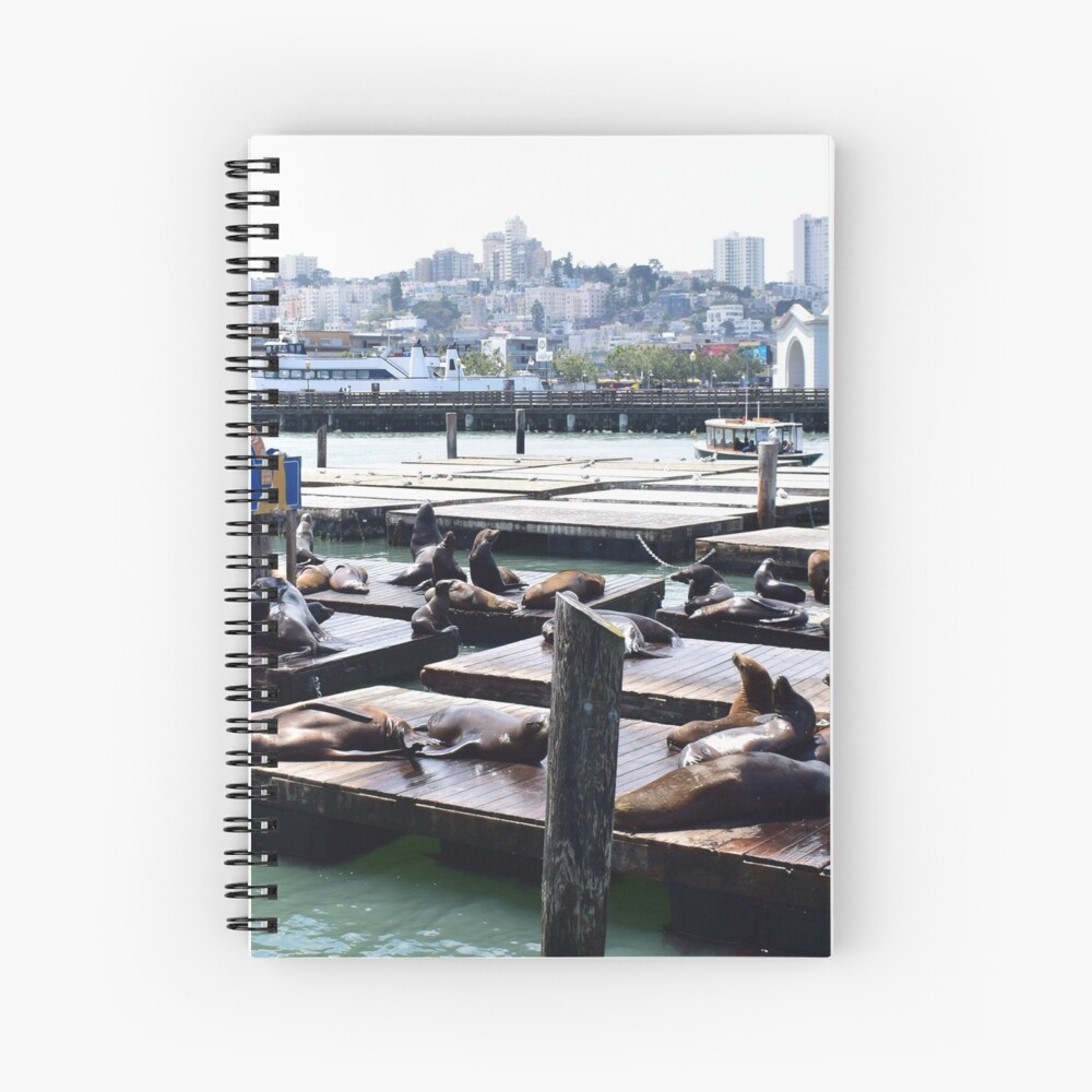 Pier 39 Sea Lions, San Francisco San Francisco Pullover Hoodie | Redbubble