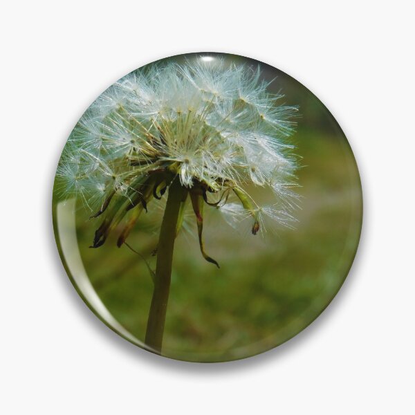 Item preview, Dandelion Seedhead designed and sold by AbnormalLoad.