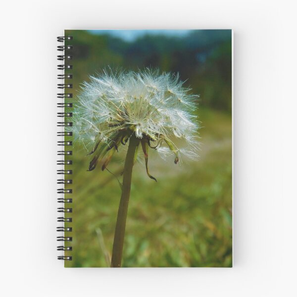 Item preview, Dandelion Seedhead designed and sold by AbnormalLoad.