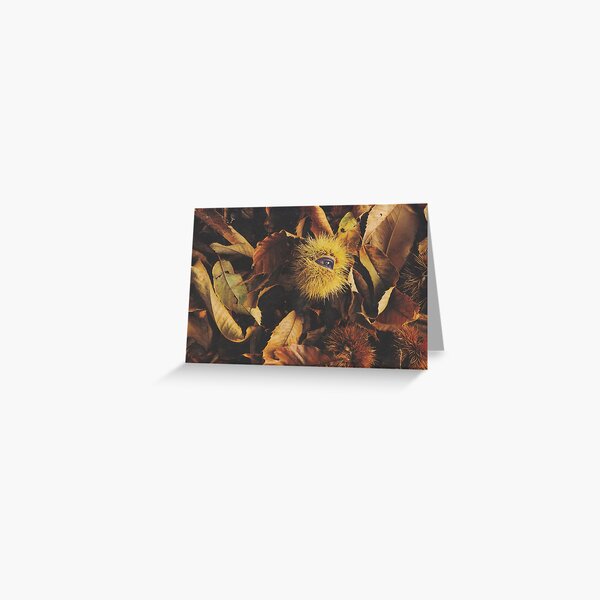 paradise Greeting Card