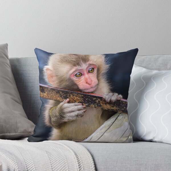 Item preview, Snow Monkey in Japan photographed designed and sold by Designsbyalisa.
