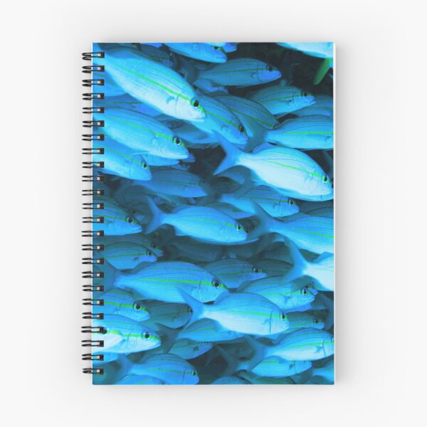 Item preview, Reef Fish Schooling designed and sold by Roupen BAKER.