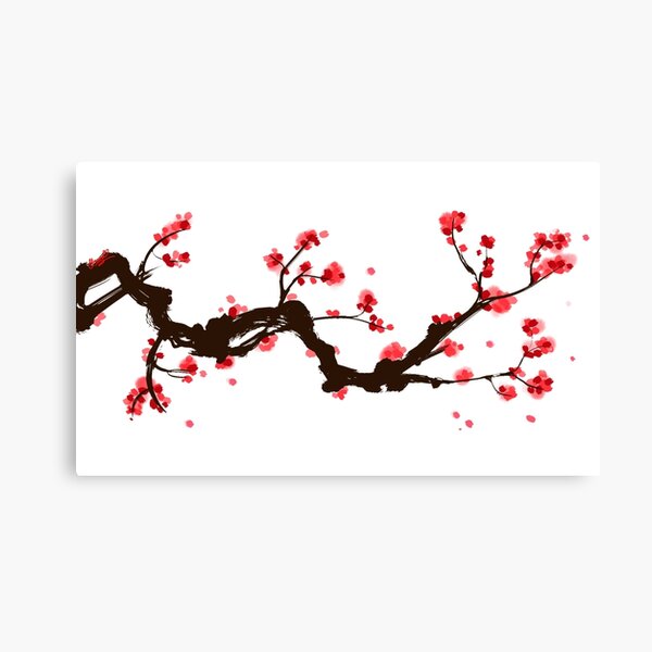 Sakura blossom Canvas Print
