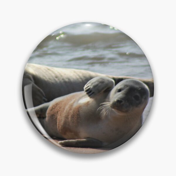 Item preview, Basking Grey Seals designed and sold by beavo.