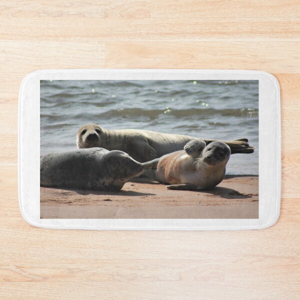 Item preview, Basking Grey Seals designed and sold by beavo.