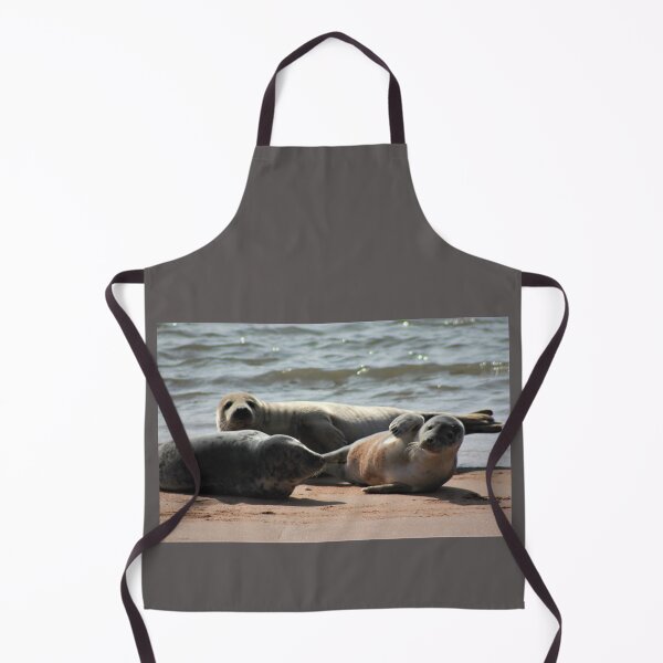 Item preview, Basking Grey Seals designed and sold by beavo.