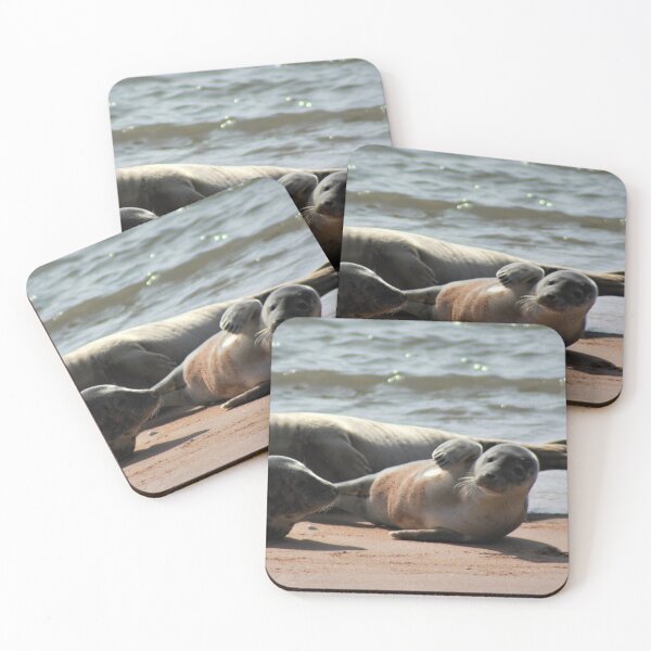 Item preview, Basking Grey Seals designed and sold by beavo.