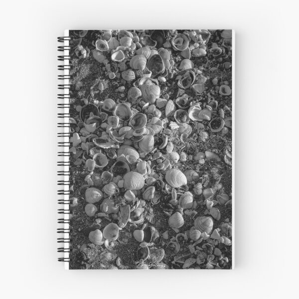 Item preview, Seashells on the beach designed and sold by Magia del Norte.