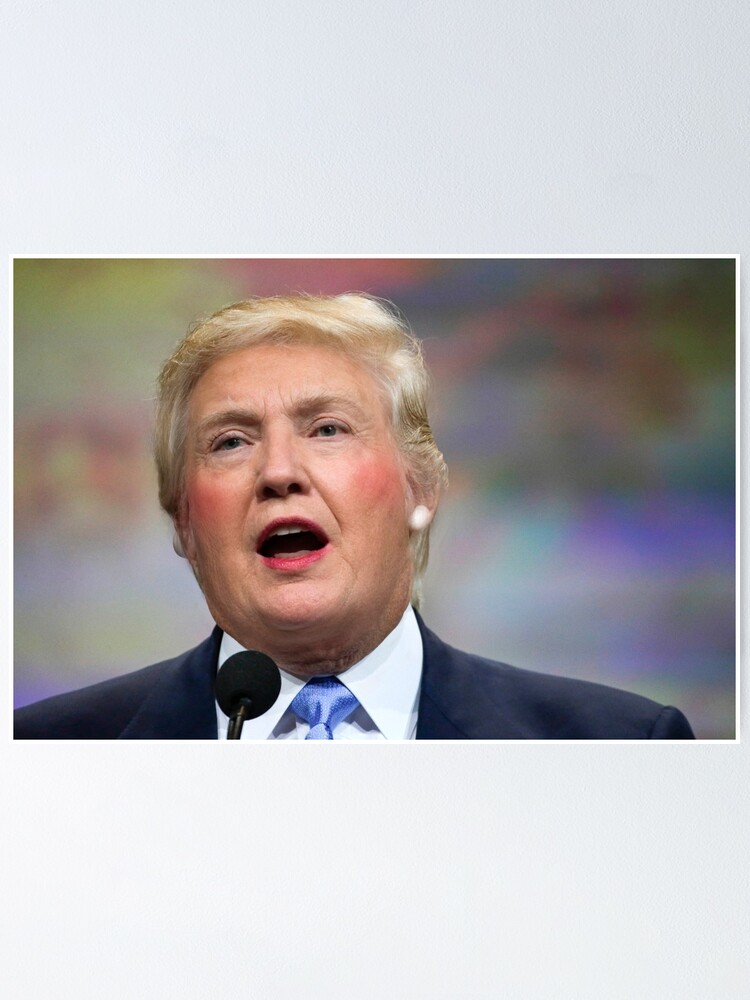 Lustiger Donald Clinton Face Morph Poster Von Kittybitty1 Redbubble