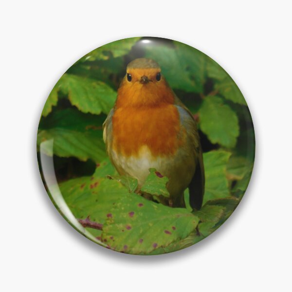 Aperçu de l'œuvre Robin à Brambles créée et vendue par AbnormalLoad.